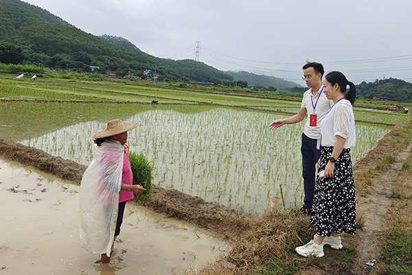 该市纪检监察干部走访田间地头，面对面倾听群众诉求，着力解决群众“急难愁盼”问题。（四会市纪委监委供 陆洁茹 摄）.jpg