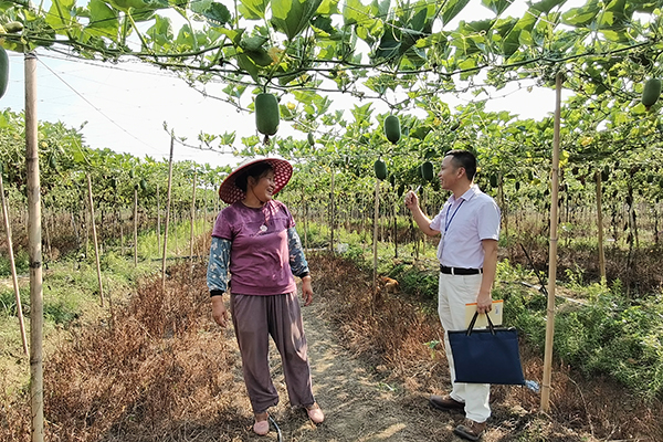 四会市纪检监察干部在黄田镇西岸村走访农户，了解农作物种植、销售情况，并收集相关问题线索。（四会市纪委监委供 罗志敏 摄）.jpg