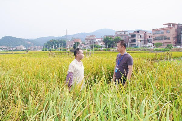 肇庆市广宁县.jpg