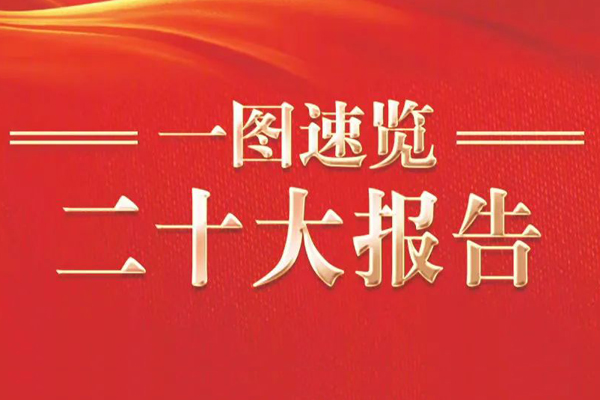 一图速览二十大报告