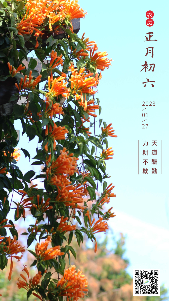 初六.png