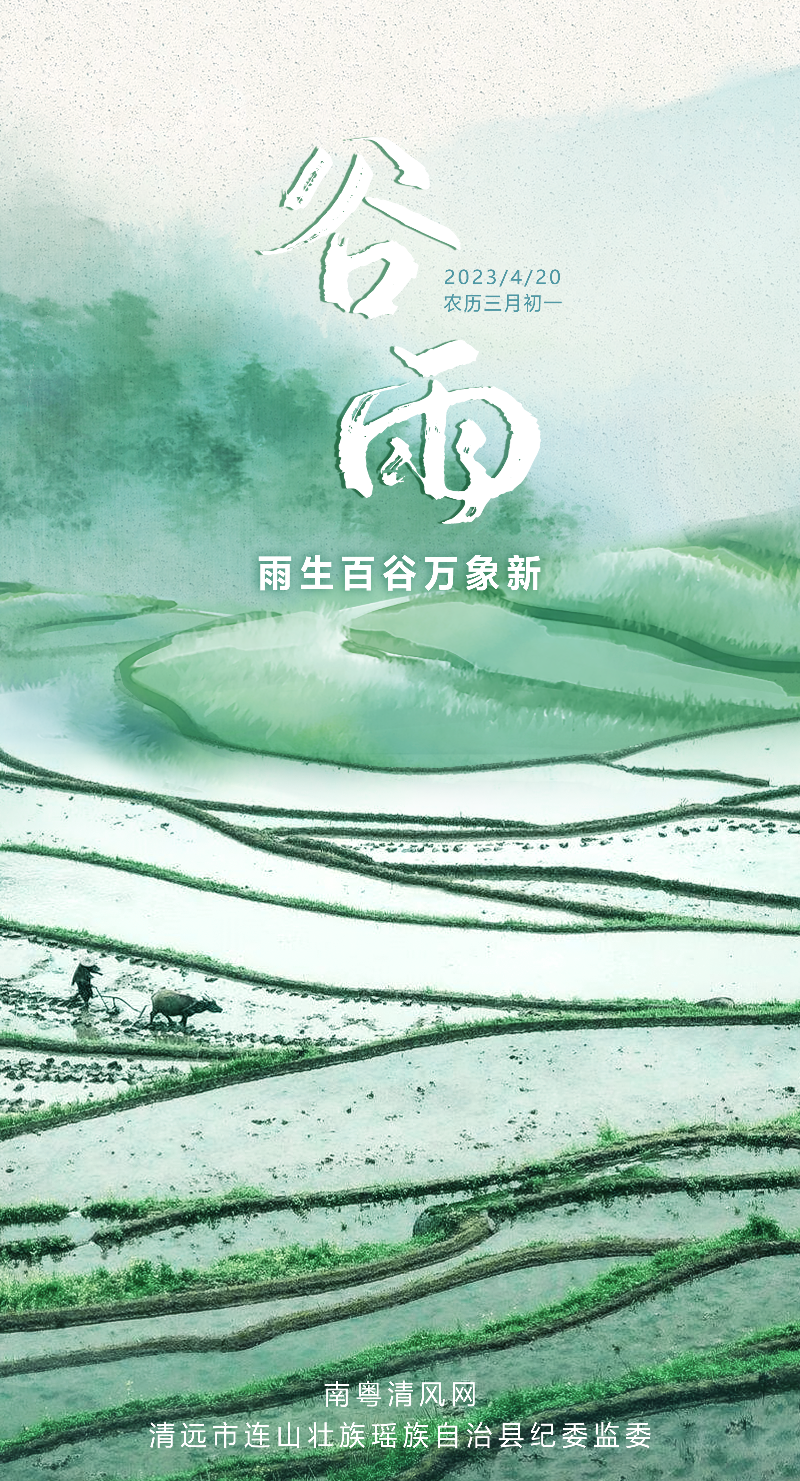 谷雨海报.png
