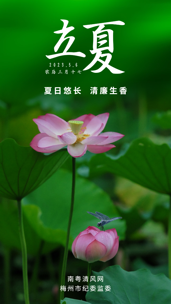 立夏海报.png