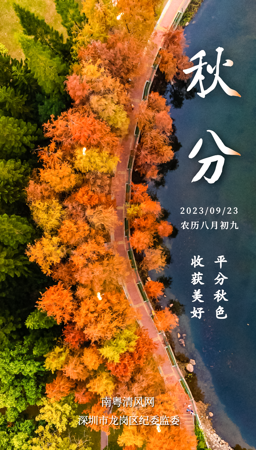 海报.png