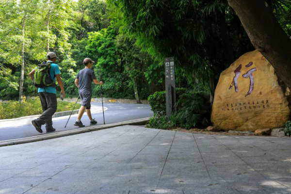 已编辑图片