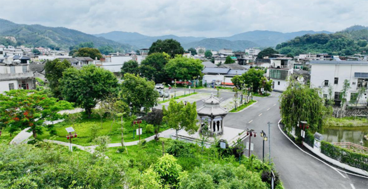 梅州大埔：以廉洁文化涵养清风正气