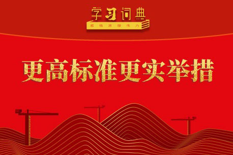 学习词典·五次全会丨更高标准更实举措