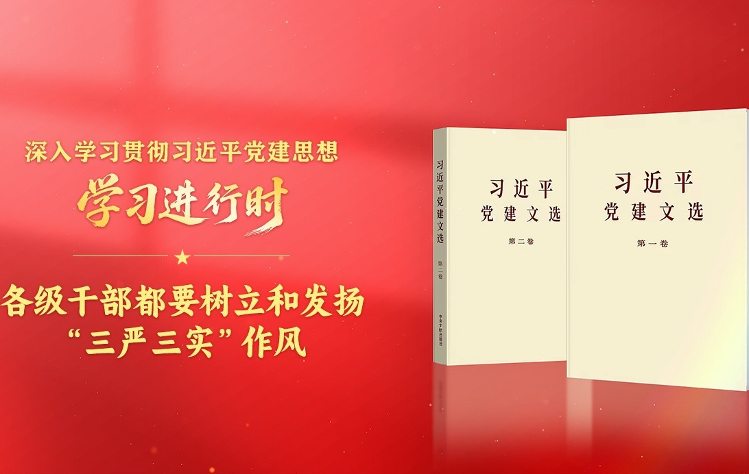 学习进行时·深入学习贯彻习近平党建思想丨各级干部都要树立和发扬“三严三实”作风