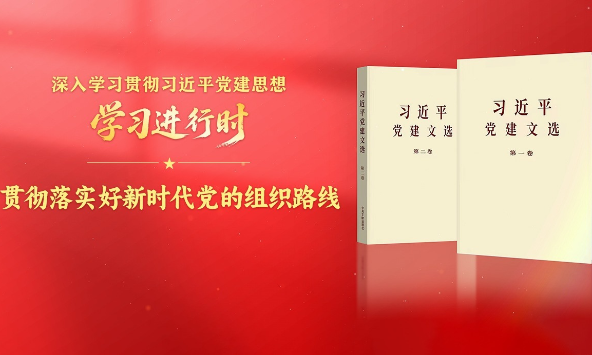 学习进行时·深入学习贯彻习近平党建思想丨贯彻落实好新时代党的组织路线