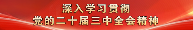 深入学习贯彻党的二十届三中全会精神